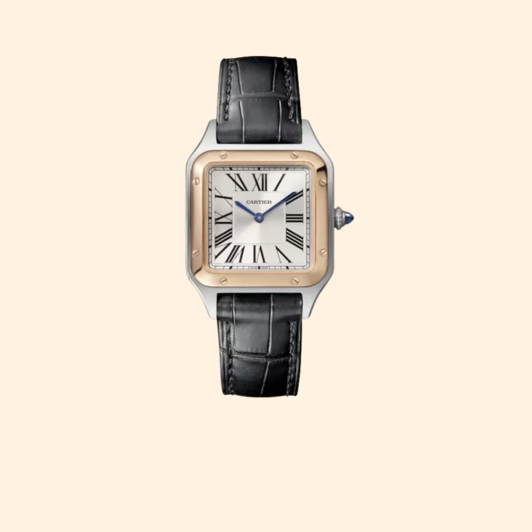 Santos-Dumont 38 mm Stainless Steel & 18k Rose Gold with Silver Dial