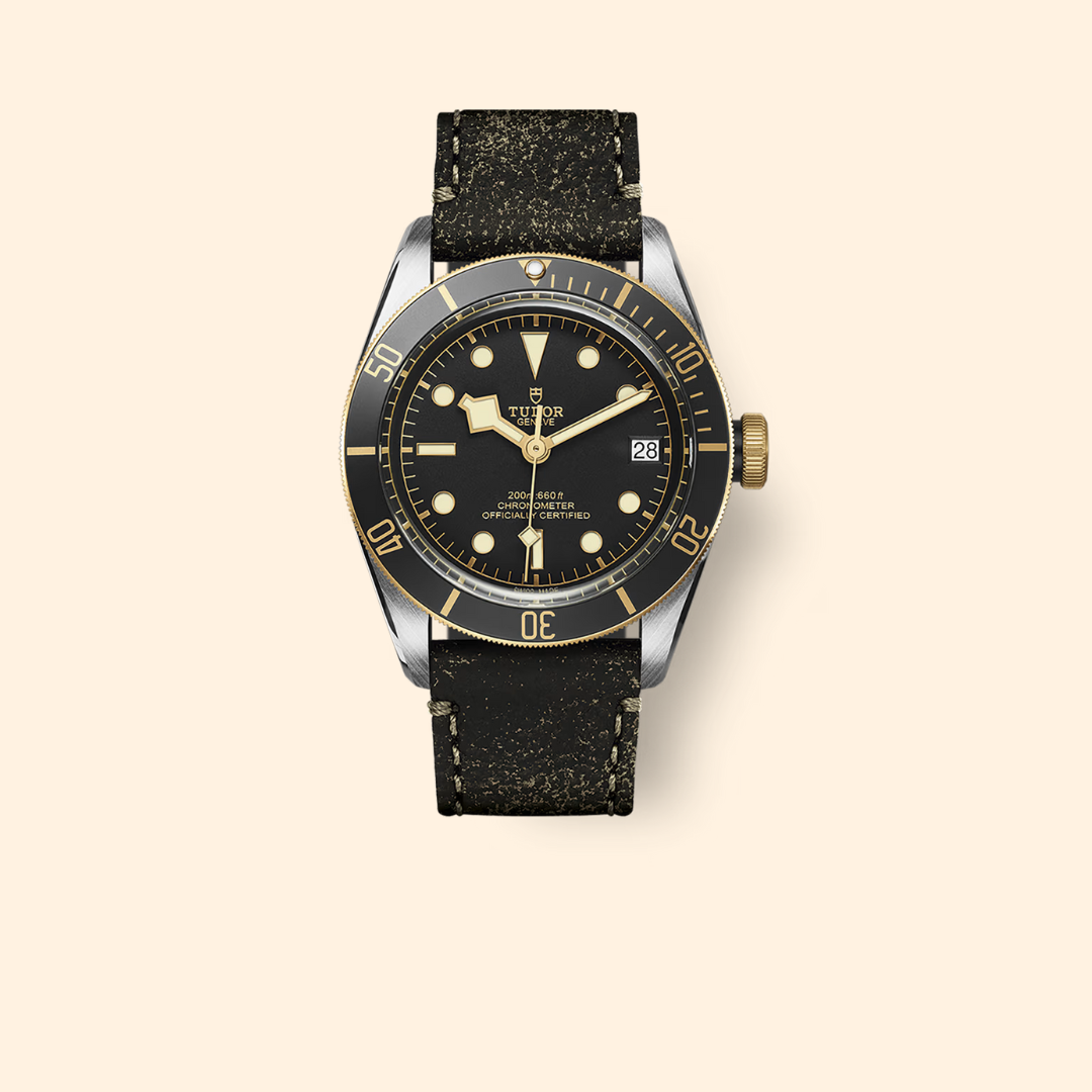 Tudor Black Bay S&G Ref M79733N-0007
