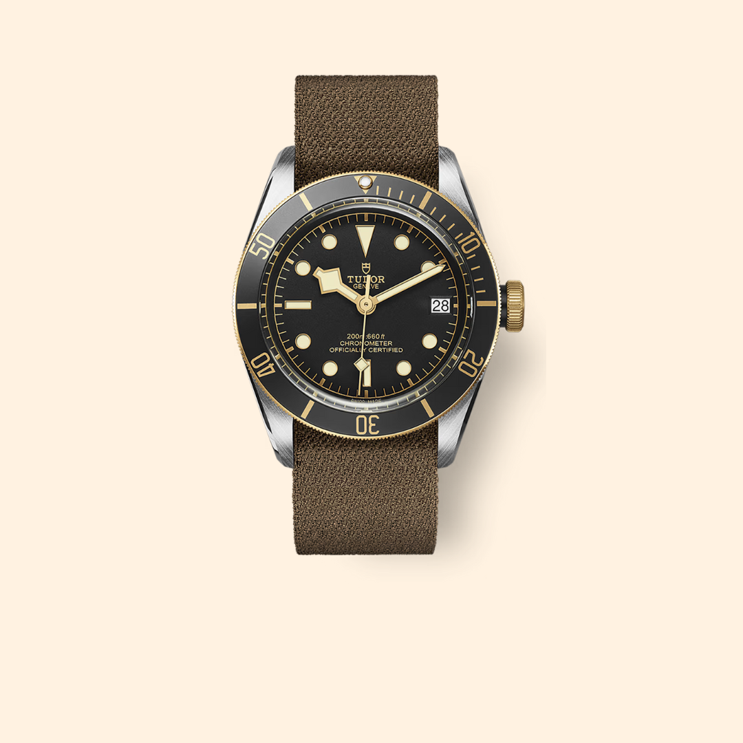 Tudor Black Bay S&G Ref M79733N-0005 41mm Steel Case Fabric Strap Black Dial