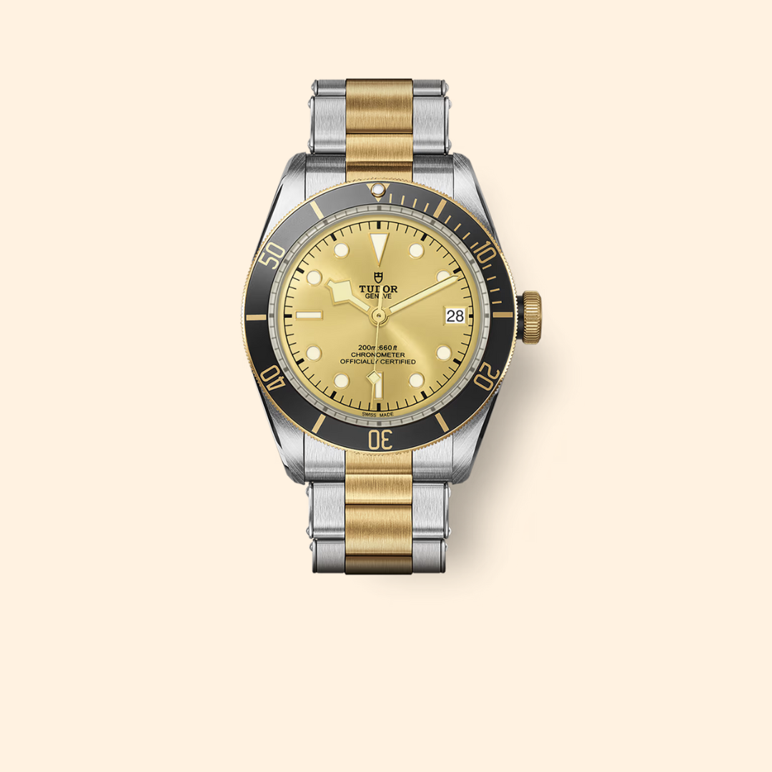 Tudor Black Bay S&G Ref M79733N-0004 41mm Steel and Yellow Gold Bracelet Champagne Dial