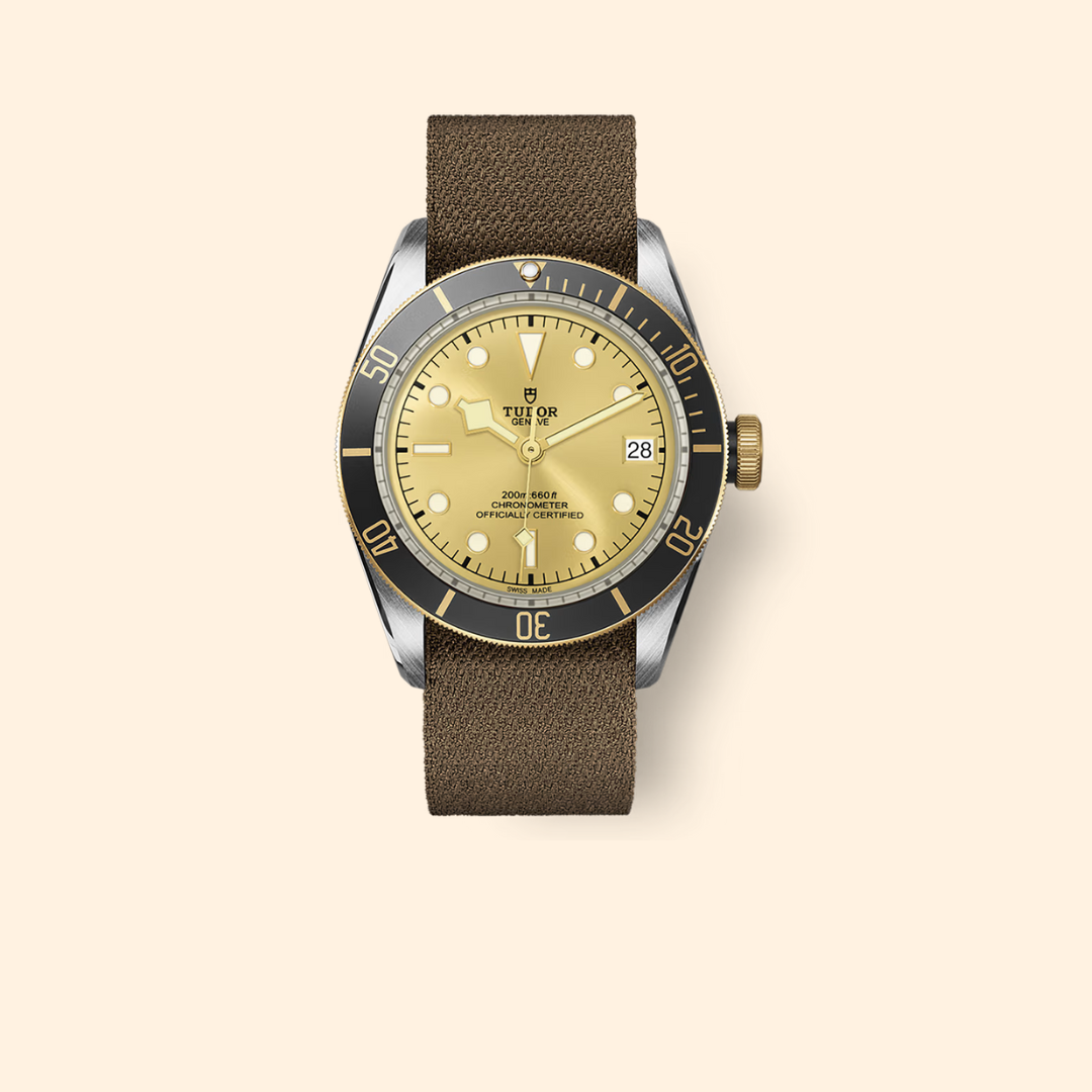 Tudor Black Bay S&G Ref M79733N-0006